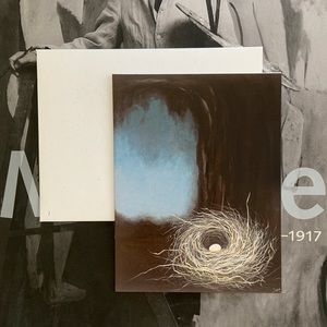 Boxed Set of 6 Note Cards. Bird Nest Abstract 🪺